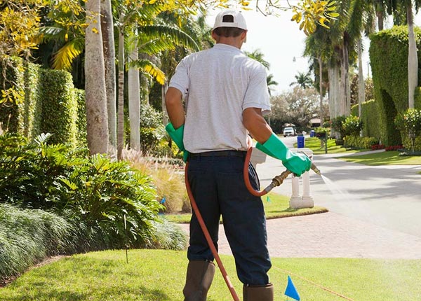About Litchfield CT Pest Control Pros